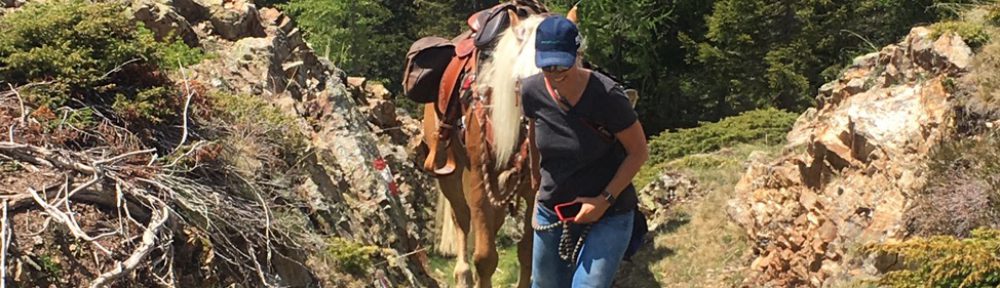 Leben atmen – Nobby goes Cortina – amac-buch 2017 – mit Pferd und Drahtesel von Zams nach Cortina d’Ampezzo